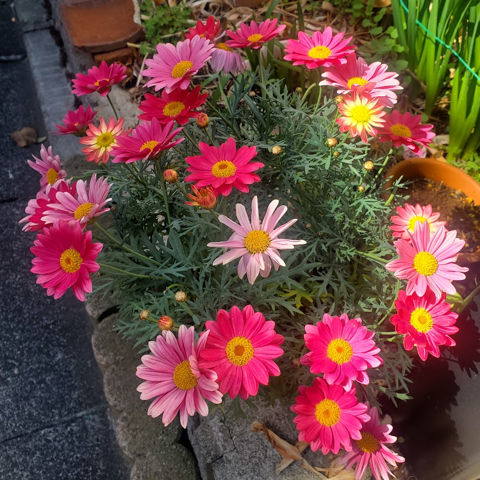 R8.3�}�[�K���b�g