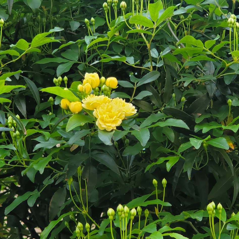 R8.3���b�R�E�o���A